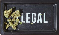 Le Cannabis médicinal